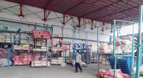 濟(jì)南萊蕪區(qū)寨里鎮(zhèn)薛埠村姜蒜加工廠安全生產(chǎn)專項(xiàng)檢查工作動(dòng)態(tài)