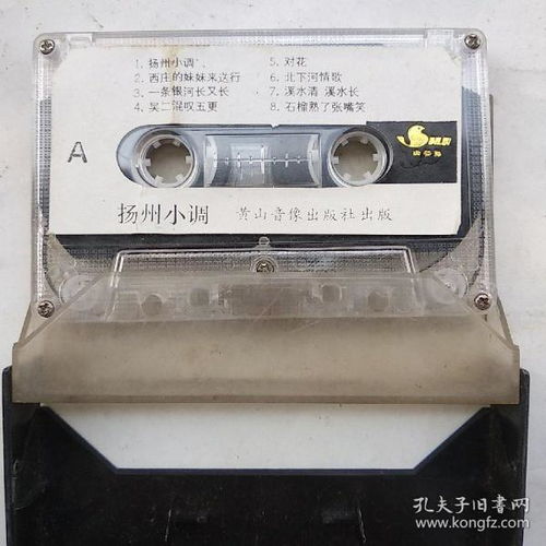 影像唱機(jī)、通訊音像制品與音像制品制作 收藏雜項(xiàng)的多元魅力