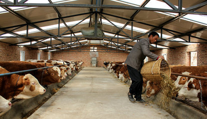 【走進(jìn)“三農(nóng)”】張家川五大產(chǎn)業(yè)齊并進(jìn)（三）畜牧設(shè)備技術(shù)開發(fā) 賦能傳統(tǒng)養(yǎng)殖，驅(qū)動產(chǎn)業(yè)升級